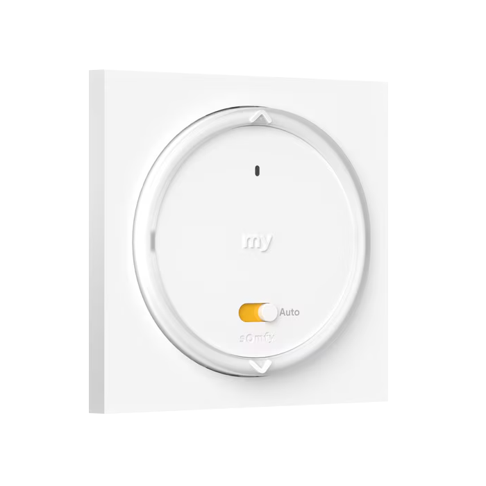 Amy 1 A/M Mode io